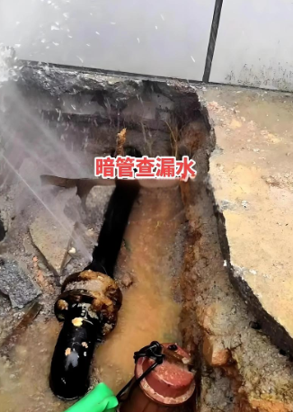 漏水检测图：检漏技术